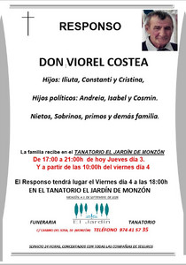VIOREL COSTEA